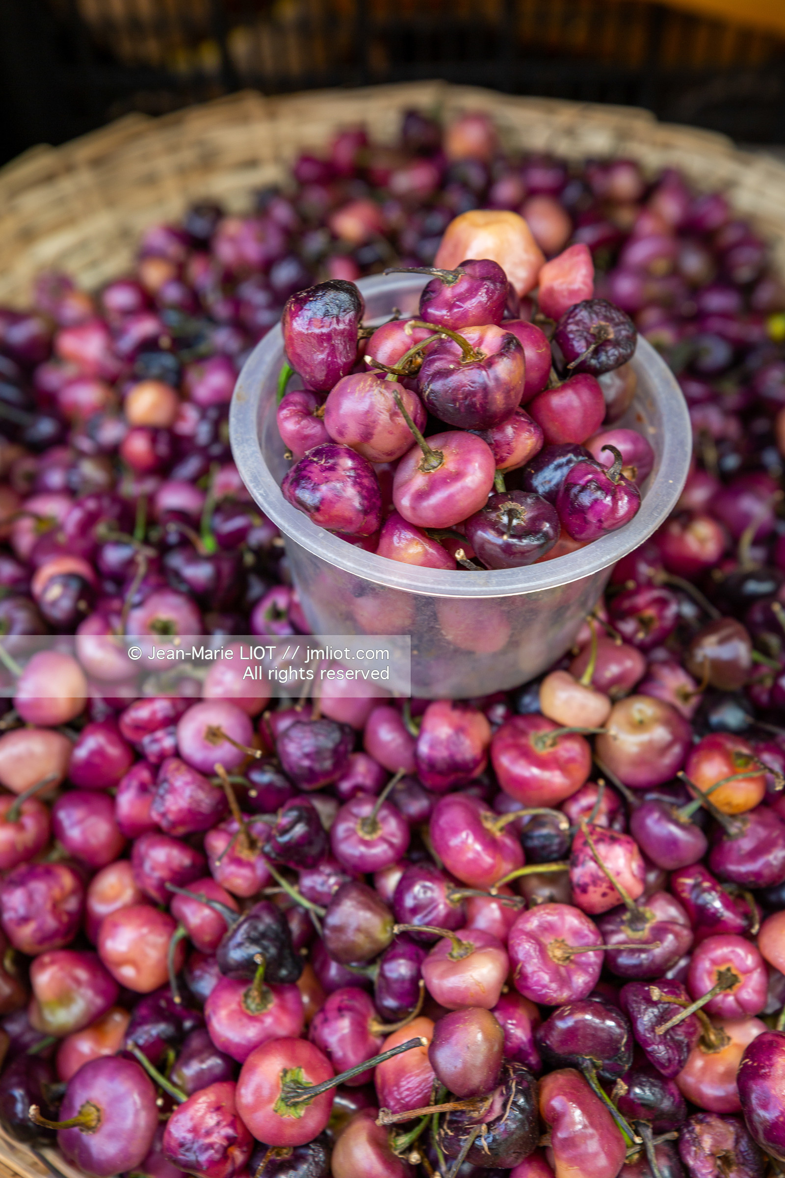 SALVADOR DE BAHIA-FOIRE DE SAO JOAQUIM