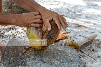 CROISIERE AUX ILES SEYCHELLES