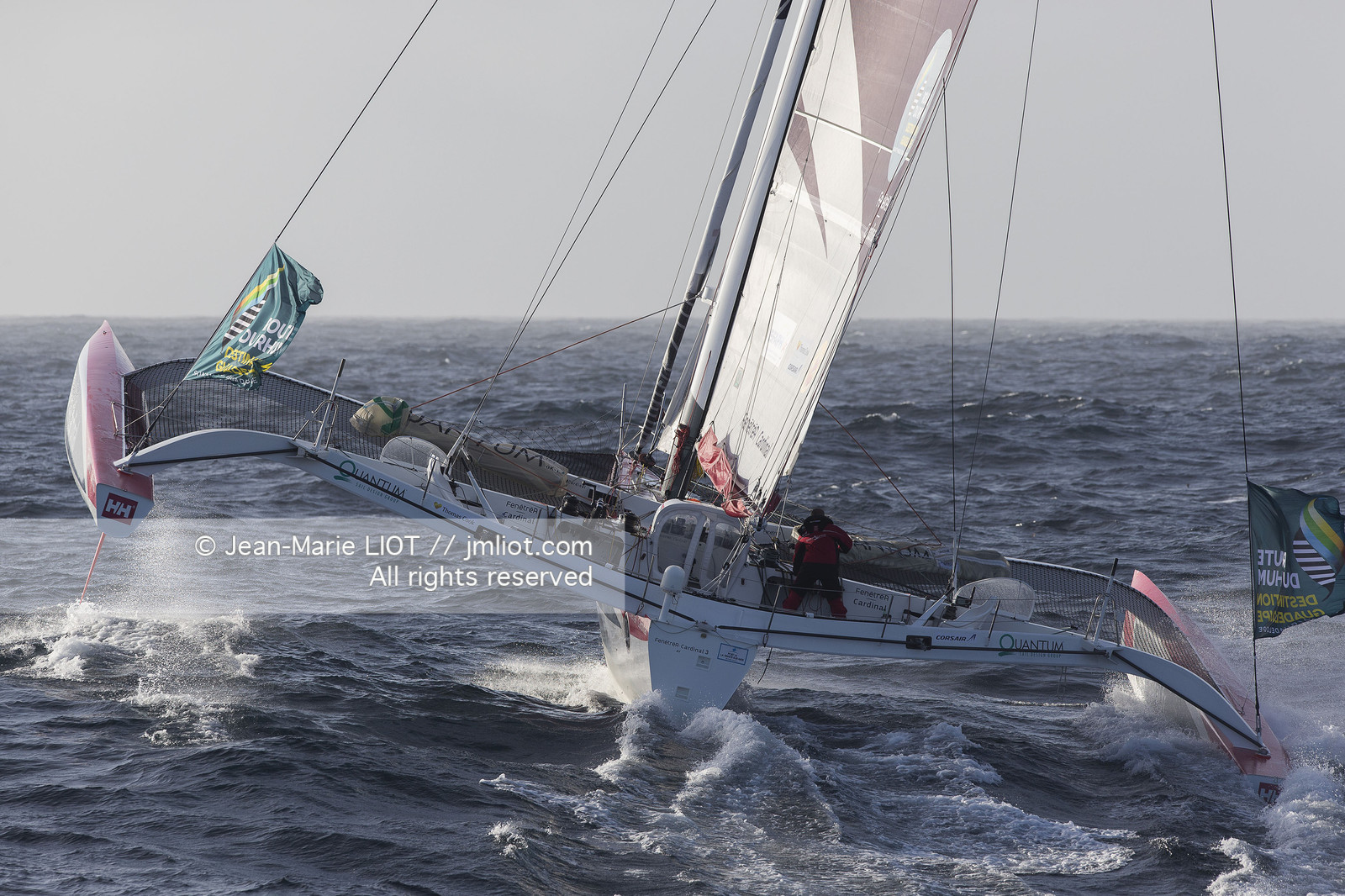 ROUTE DU RHUM 2014 - MULTI 50 FENETREA CARDINAL - ERWAN LE ROUX