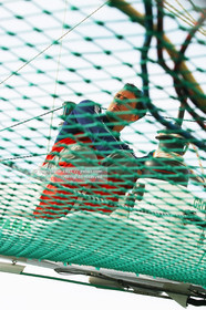 ORMA GROUPAMA - FRANCK CAMMAS