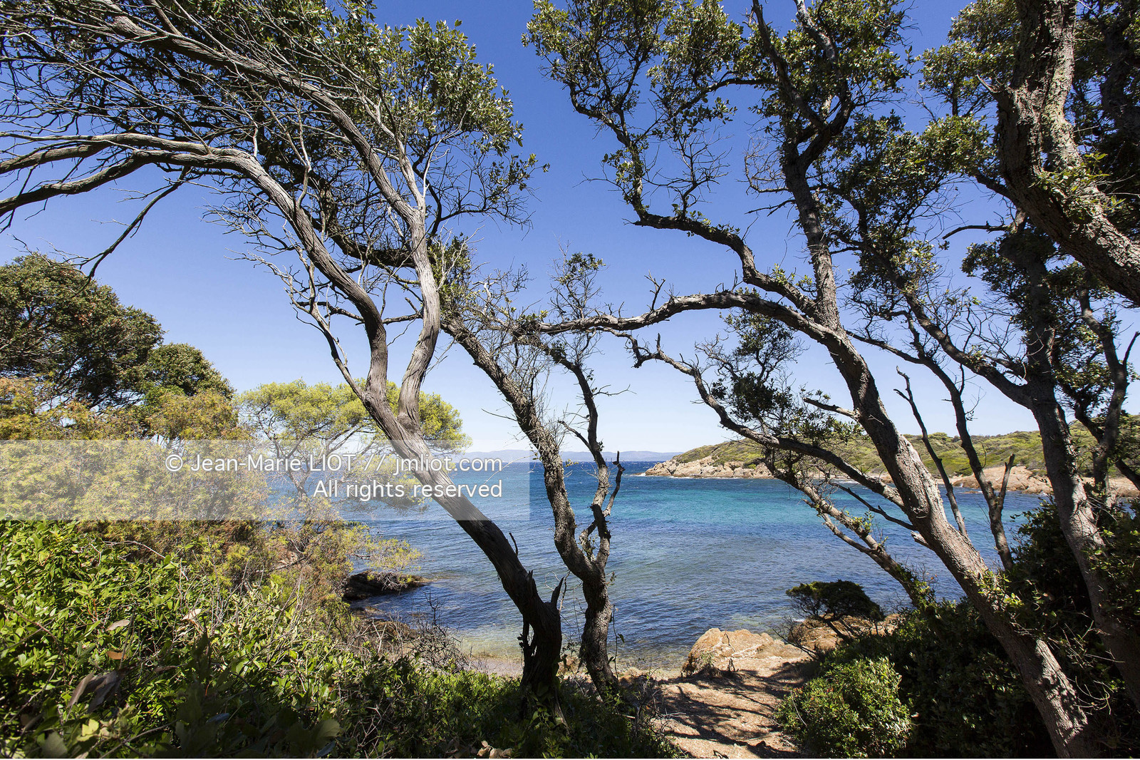 Aout 2015 mouillage à Porquerolles, découverte de l'île..Photos © JEAN-MARIE LIOT - www.jmliot.com