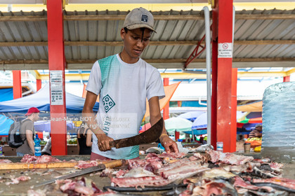 CROISIERE AUX ILES SEYCHELLES