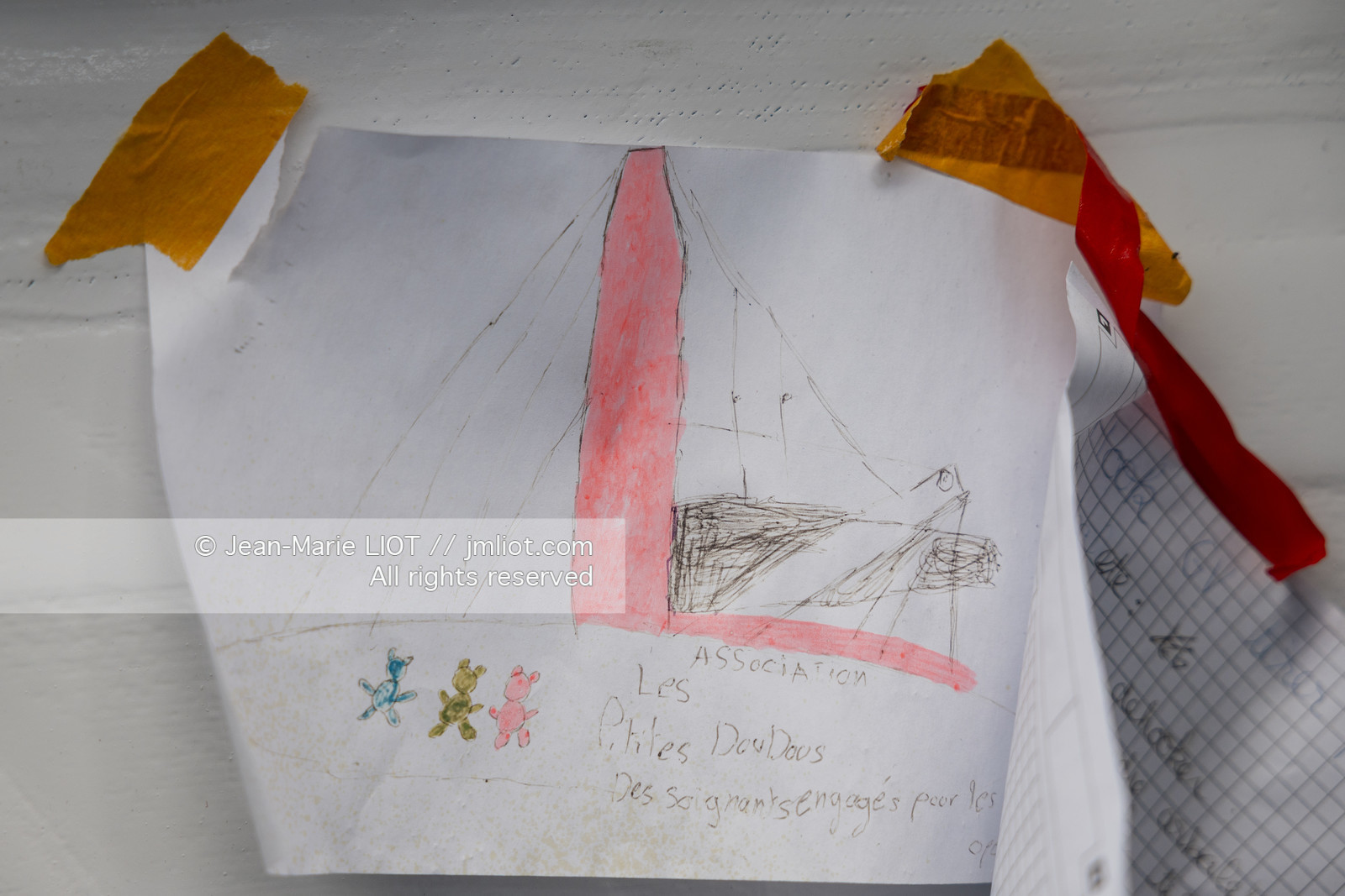 ARMEL TRIPON 2025 - LES PETITS DOUDOUS