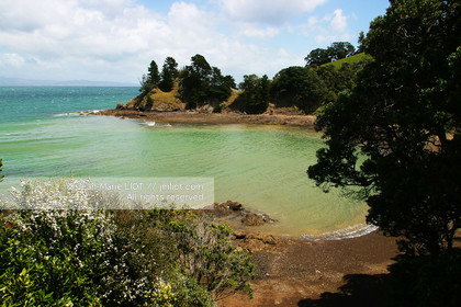 NOUVELLE ZELANDE - COROMANDEL