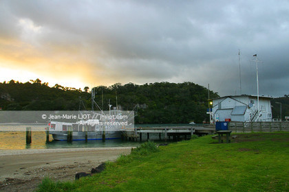 NOUVELLE ZELANDE - COROMANDEL