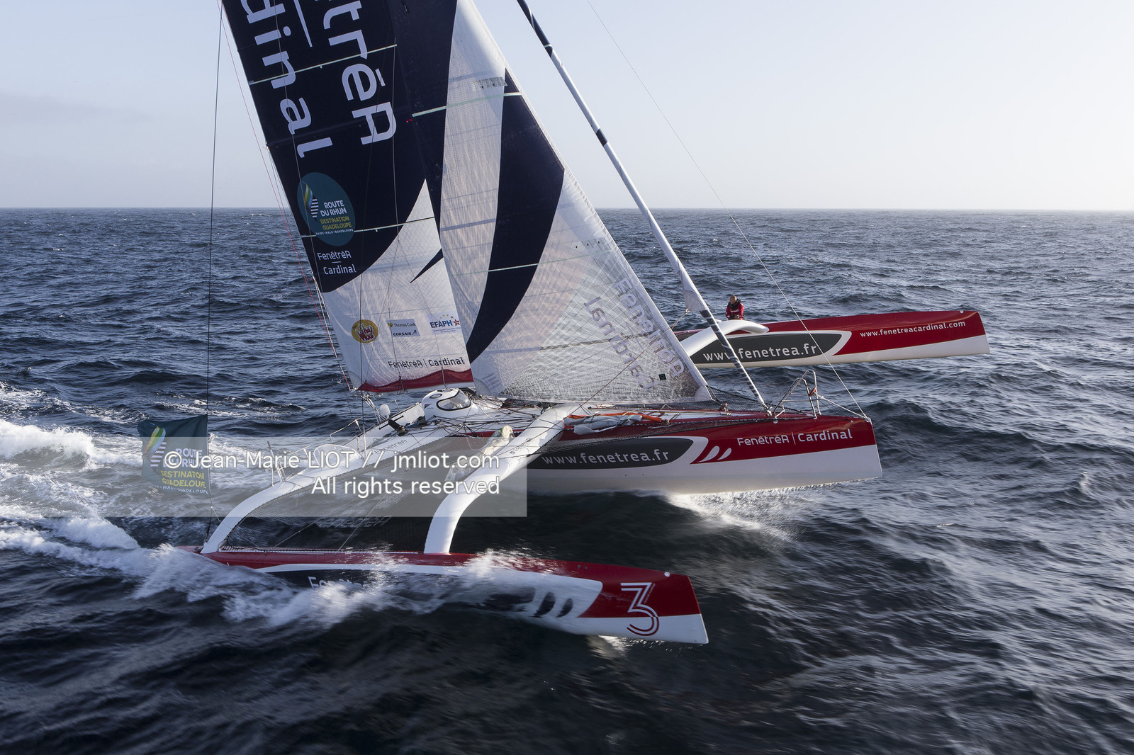 ROUTE DU RHUM 2014 - MULTI 50 FENETREA CARDINAL - ERWAN LE ROUX