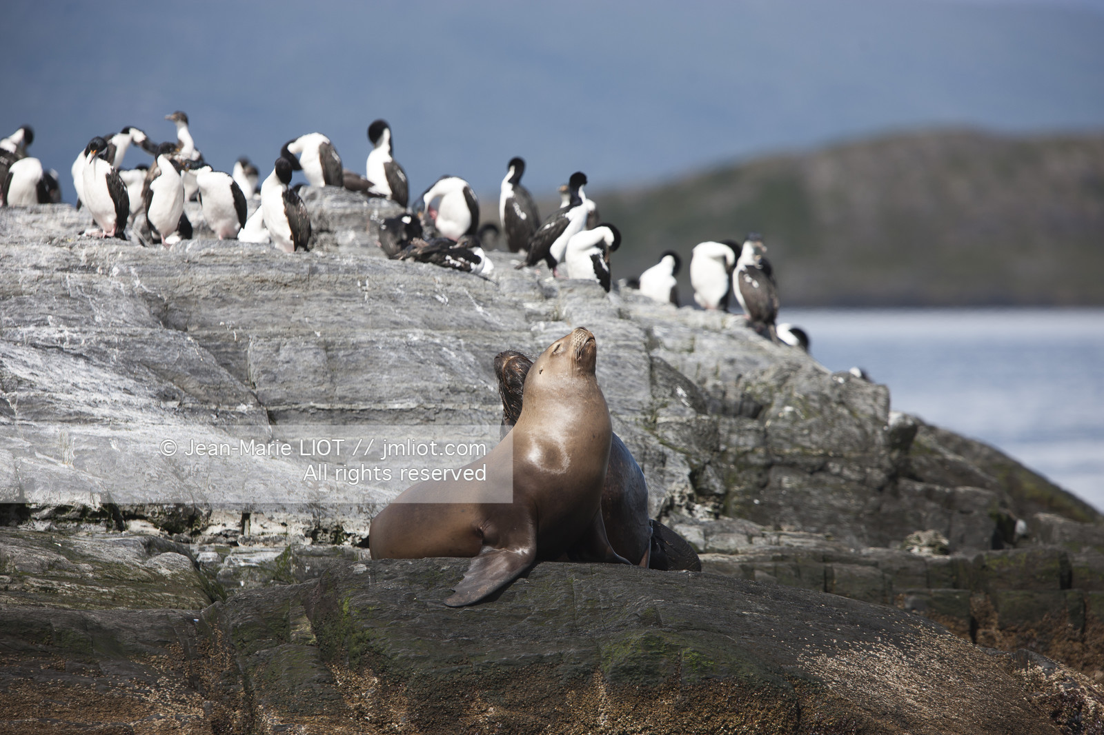 Ushuaia, Terre de Feu est la ville la plus australe du globe.Située à la pointe de l'Argentine cette province est la porte de l'antartique.photo © Jean-Marie Liot.