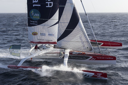 ROUTE DU RHUM 2014 - MULTI 50 FENETREA CARDINAL - ERWAN LE ROUX