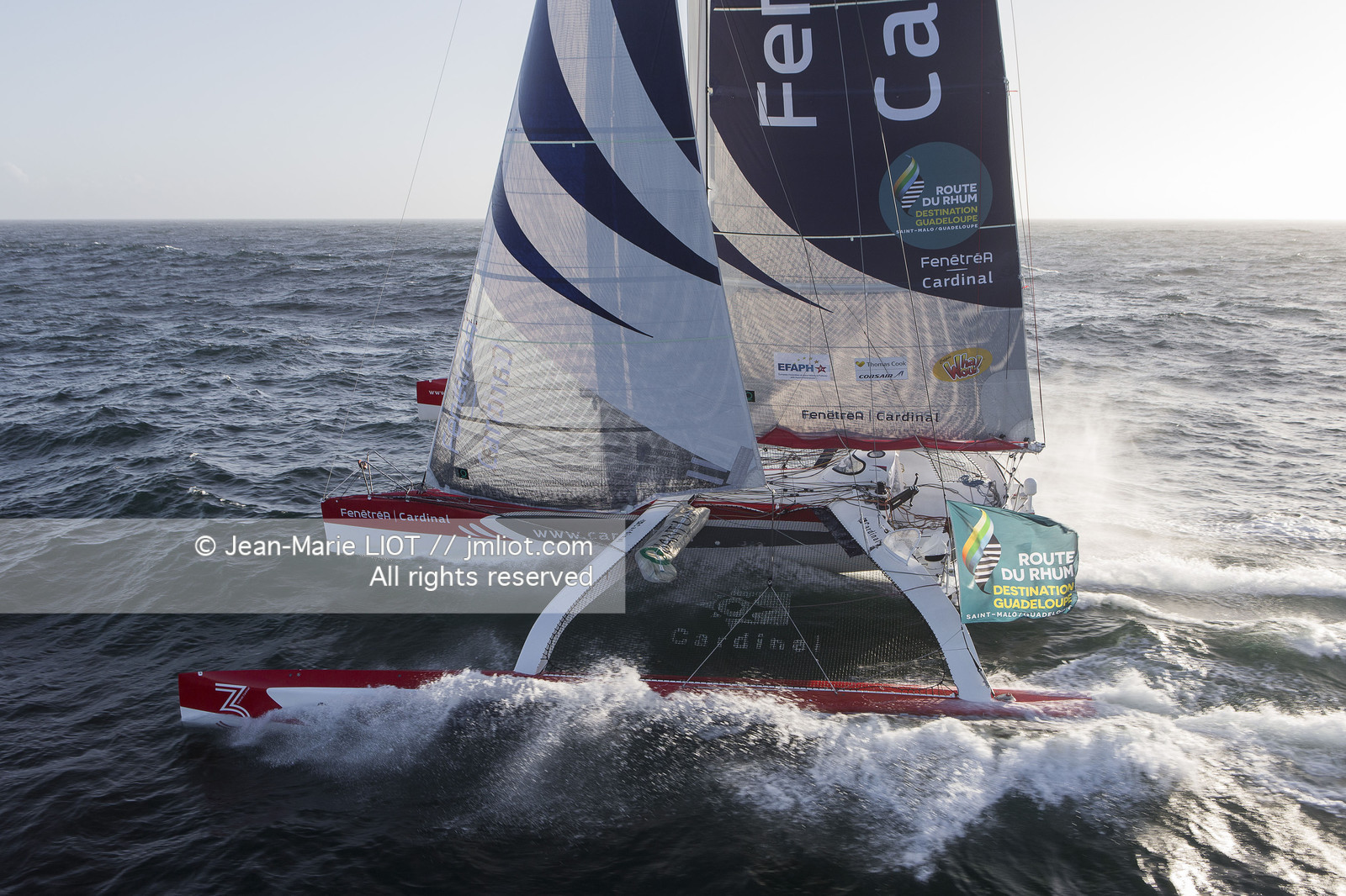 ROUTE DU RHUM 2014 - MULTI 50 FENETREA CARDINAL - ERWAN LE ROUX