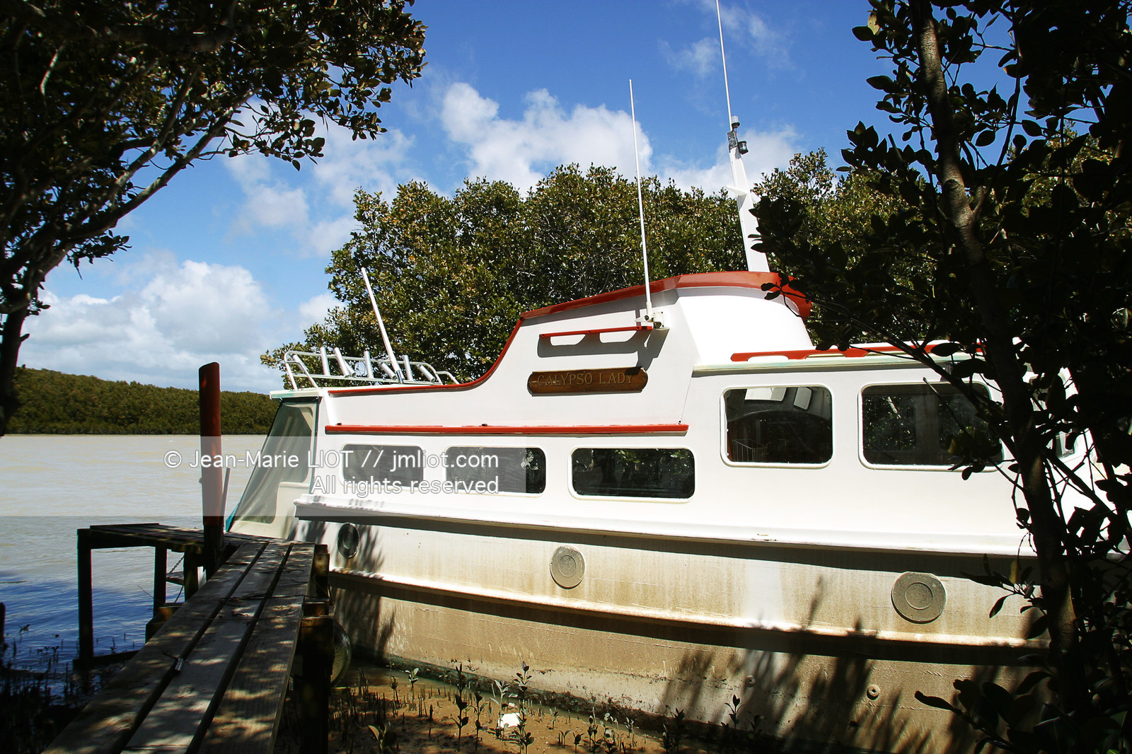 NOUVELLE ZELANDE - COROMANDEL