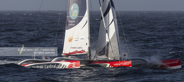 ROUTE DU RHUM 2014 - MULTI 50 FENETREA CARDINAL - ERWAN LE ROUX