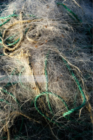 PHOTO © JEAN-MARIE LIOT.MENTION OBLIGATOIRE POUR TOUTE UTILISATION.