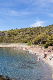 Port-Cros, au large d'Hyères dans le département du Var, petite île de 4 km de long est une réserve de la faune et la flore. Photo © Jean-Marie Liot.