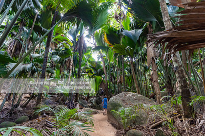 CROISIERE AUX ILES SEYCHELLES