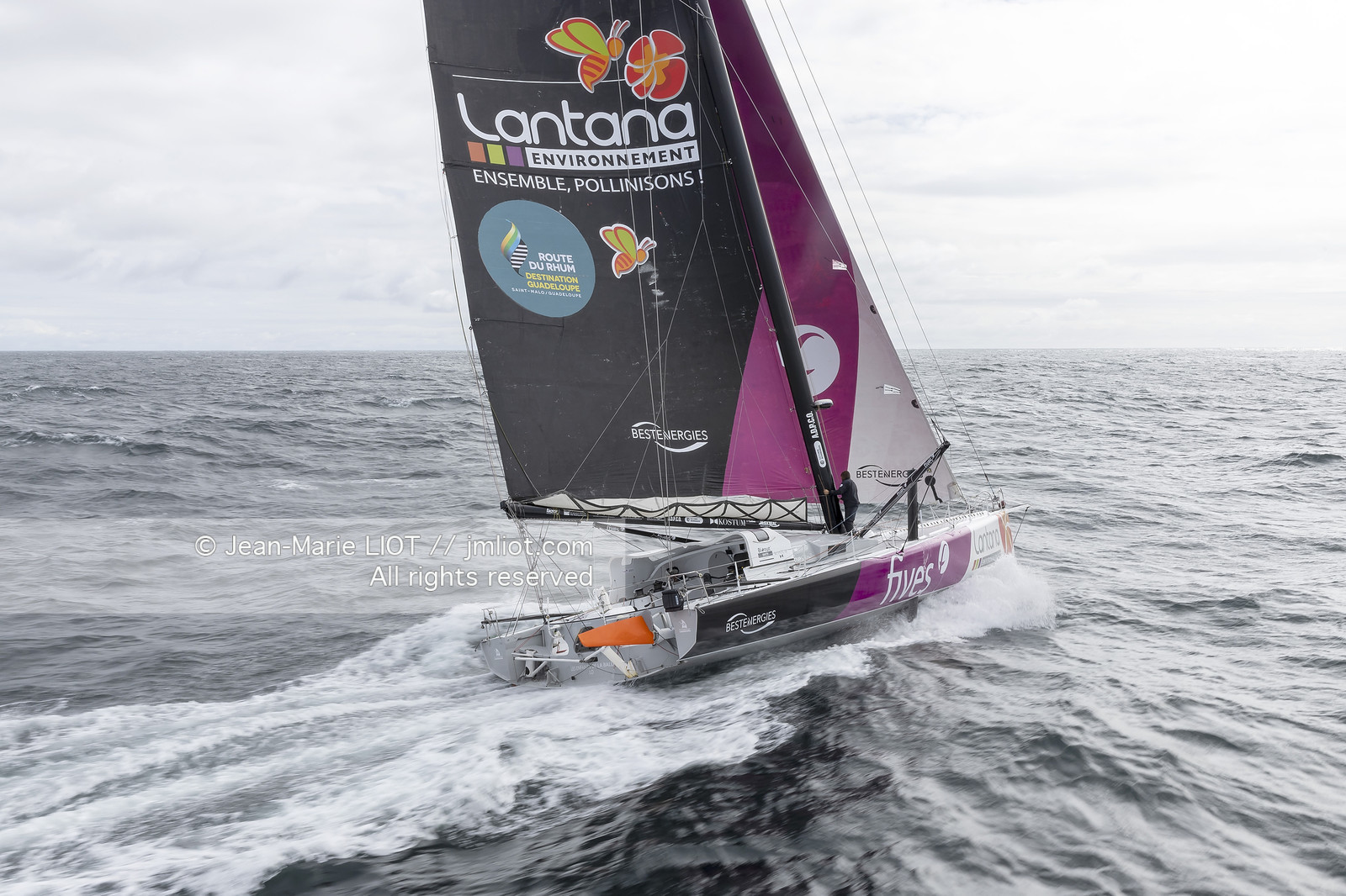 LOUIS DUC 2022 - ROUTE DU RHUM