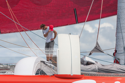 ROUTE DU RHUM 2010 - MAXI TRIMARAN SODEBO - THOMAS COVILLE