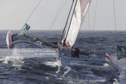 ROUTE DU RHUM 2014 - MULTI 50 FENETREA CARDINAL - ERWAN LE ROUX