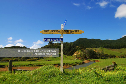 NOUVELLE ZELANDE - COROMANDEL