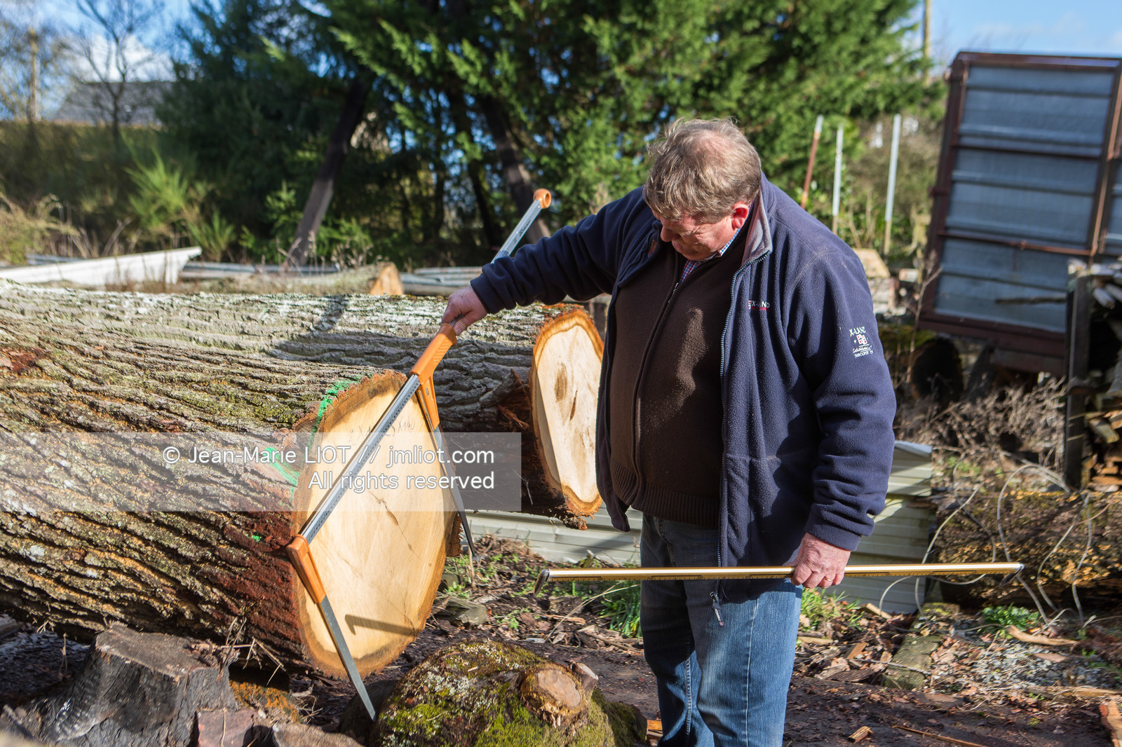 SCIERIE - DECOUPE DE BOIS
