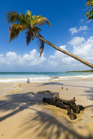 LA MARTINIQUE
