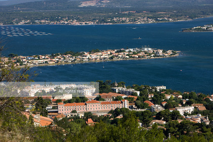 SETE 2011