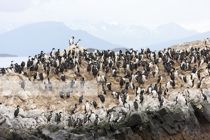.Ushuaia, Tierra del Fuego is the southernmost city of globe.Situated to the tip of Argentina this province is the gateway to the antartique..photo © Jean-Marie Liot