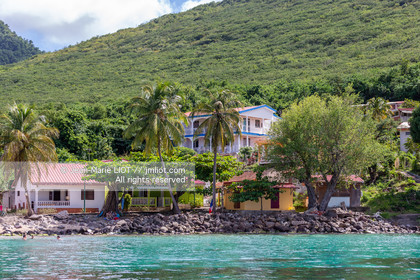 CÔTE CARAÏBE