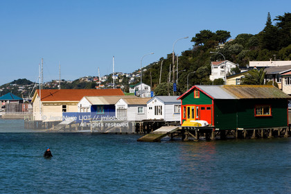 WELLINGTON 2008