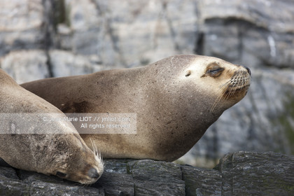 .Ushuaia, Tierra del Fuego is the southernmost city of globe.Situated to the tip of Argentina this province is the gateway to the antartique..photo © Jean-Marie Liot