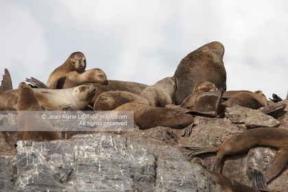 .Ushuaia, Tierra del Fuego is the southernmost city of globe.Situated to the tip of Argentina this province is the gateway to the antartique..photo © Jean-Marie Liot