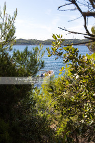 .Port-Cros, off Hyères in the department of Var, small island of 4 km long is a reserve of fauna and flora. Photo © Jean-Marie Liot