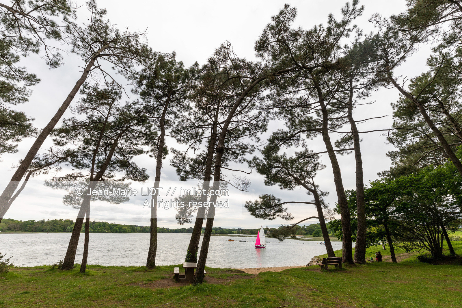GOLFE DU MORBIHAN EN GAZELLE