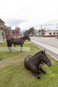 090107VG09081222USHUAIA_38V5500 .jpg
