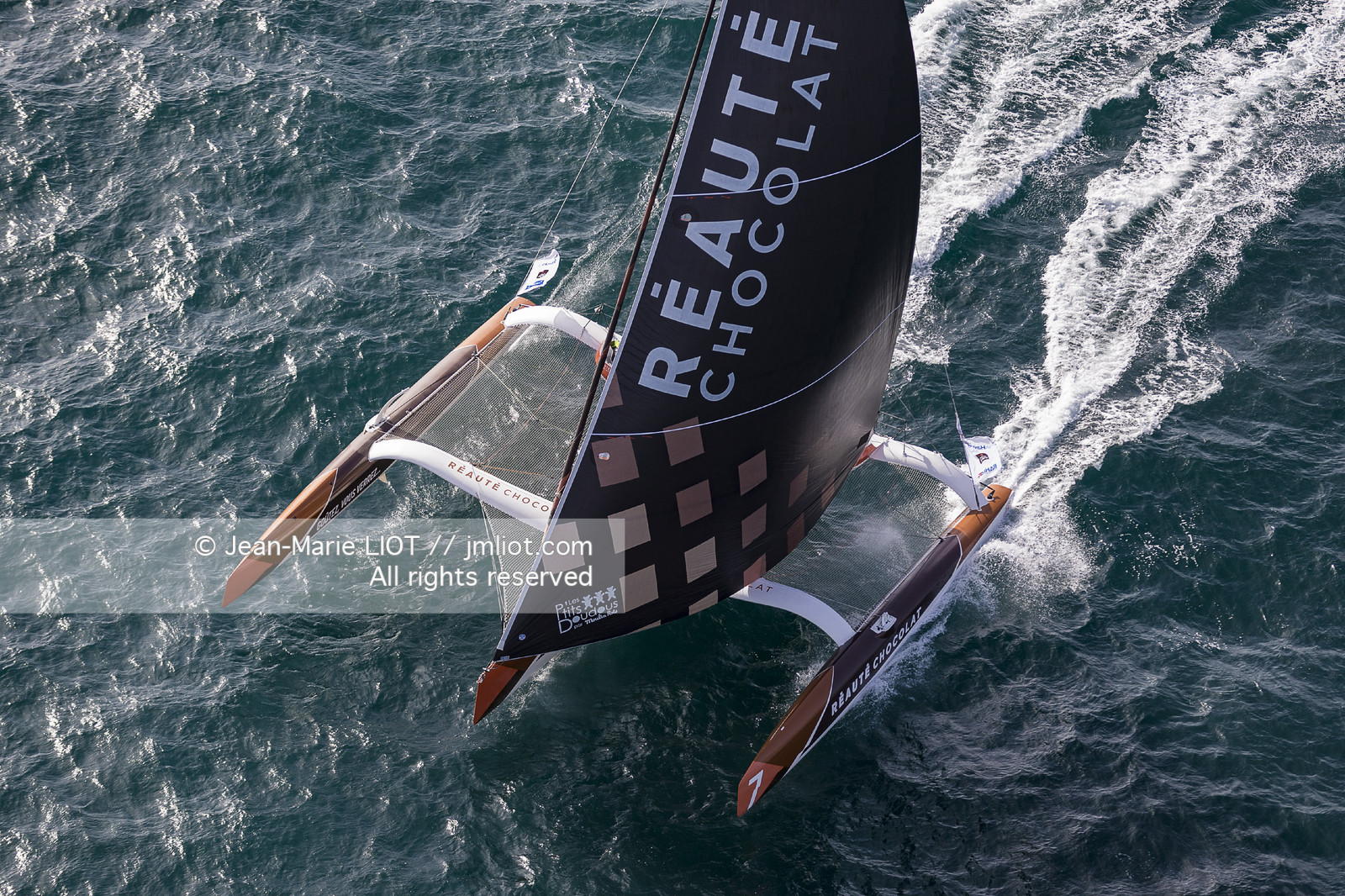 SAILING - TRANSAT JACQUES VABRE 2017 - ARMEL TRIPON