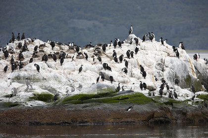 .Ushuaia, Tierra del Fuego is the southernmost city of globe.Situated to the tip of Argentina this province is the gateway to the antartique..photo © Jean-Marie Liot