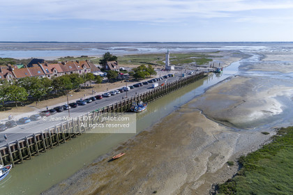 BAIE DE SOMME - 2020