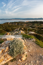 ILE DES EMBIEZ