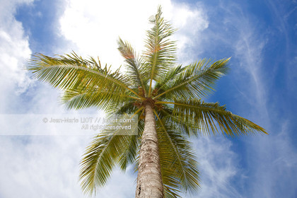 GUADELOUPE