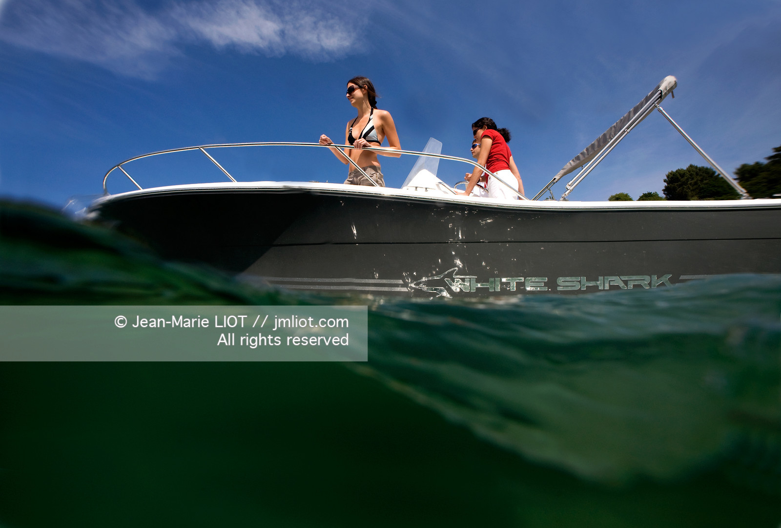 WHITE SHARK 226