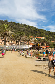 .Port-Cros, off Hyères in the department of Var, small island of 4 km long is a reserve of fauna and flora. Photo © Jean-Marie Liot