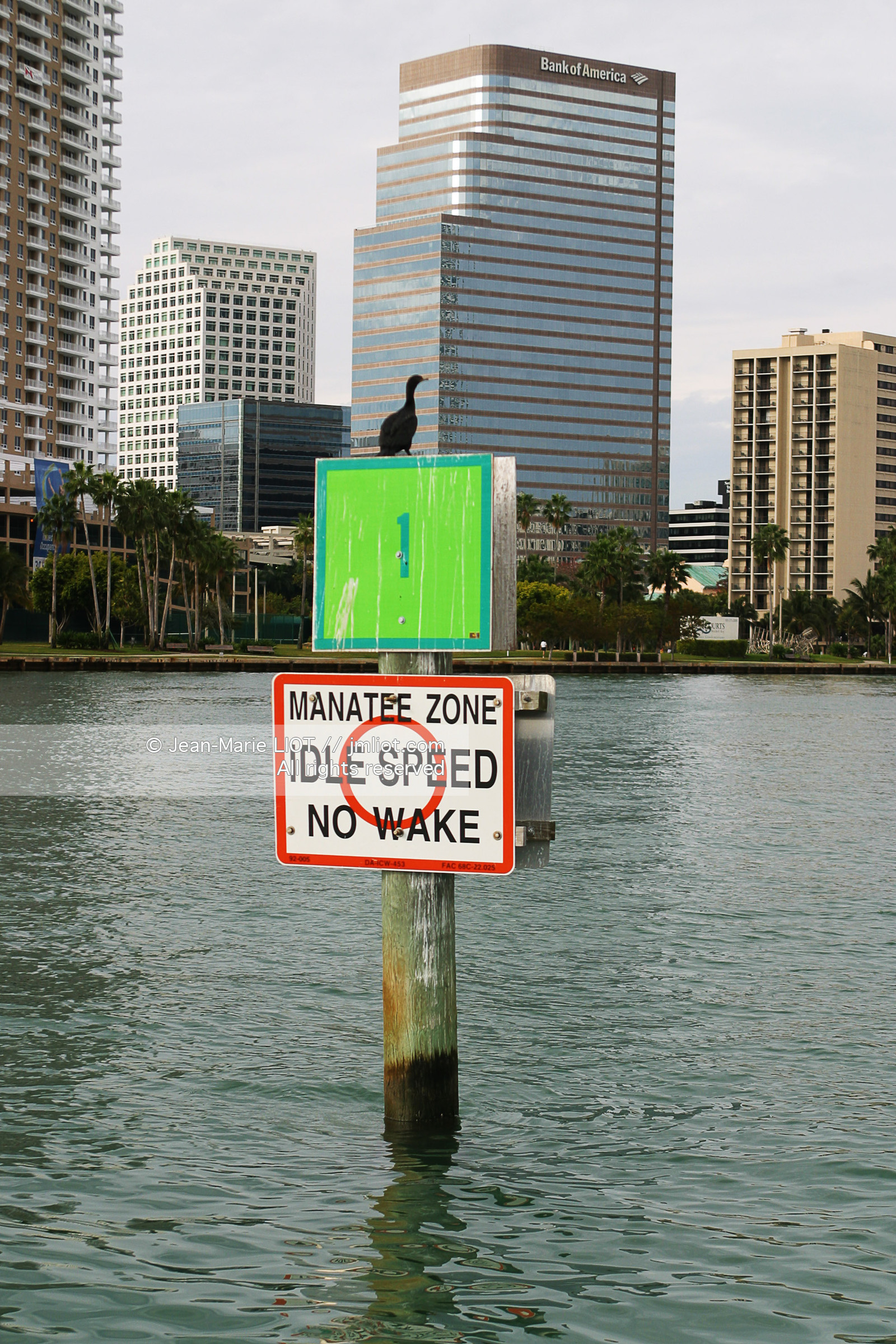FLORIDE - USA