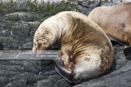 .Ushuaia, Tierra del Fuego is the southernmost city of globe.Situated to the tip of Argentina this province is the gateway to the antartique..photo © Jean-Marie Liot