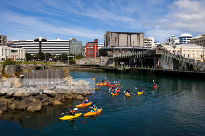 WELLINGTON 2008