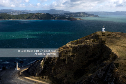 WELLINGTON 2008