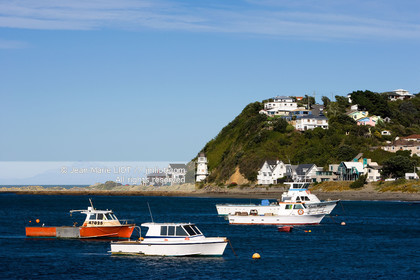WELLINGTON 2008