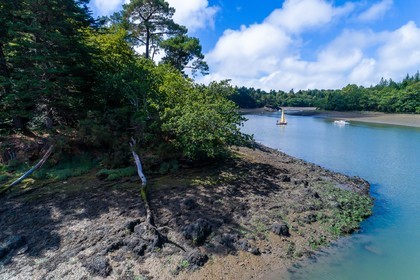 NAVIGATION INSOLITE 2020 - REMONTEE DE LA RIVIERE de L’ODET