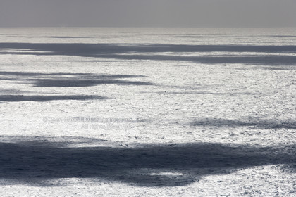 090107VG09090106LECAMRIOU_L7A4792