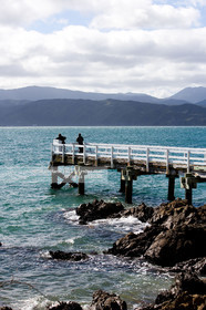 WELLINGTON 2008