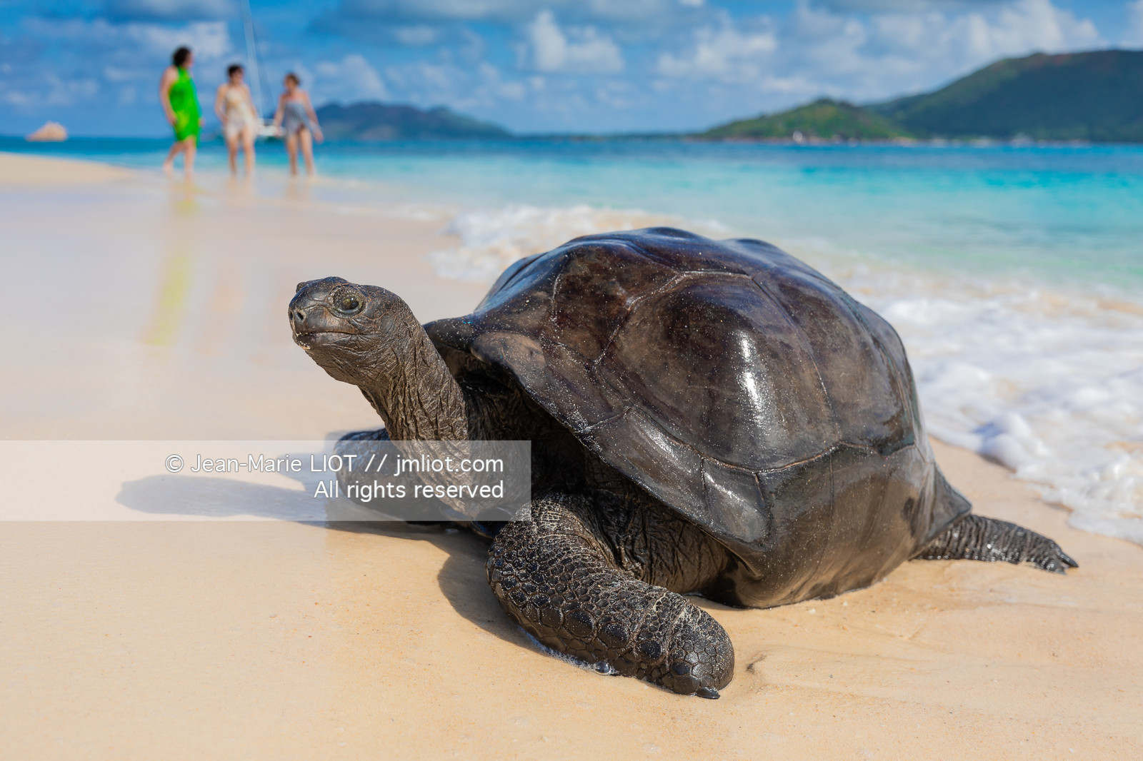 CROISIERE AUX ILES SEYCHELLES