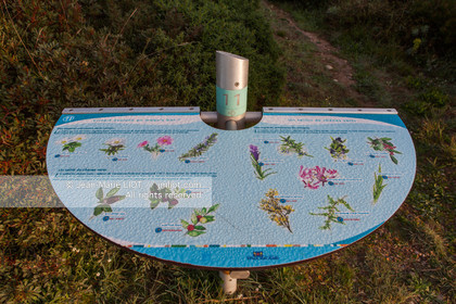 ILE DES EMBIEZ